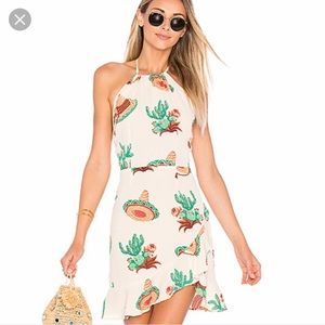 Flynn sky cactus dress